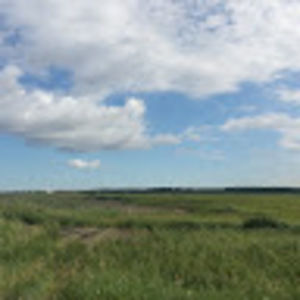 Meet your Posher, Joey